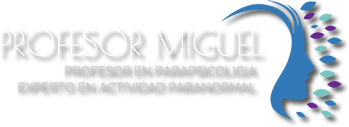 Profesor Miguel Logo